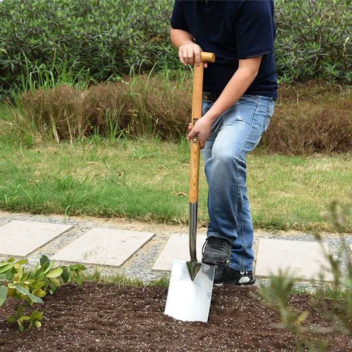 Wooden T handle stainless spade