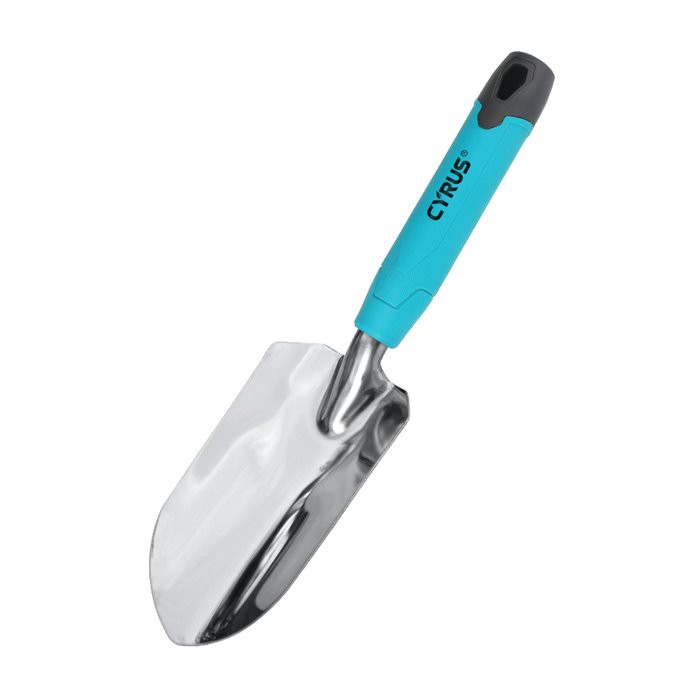 Rankinio mentele sodas