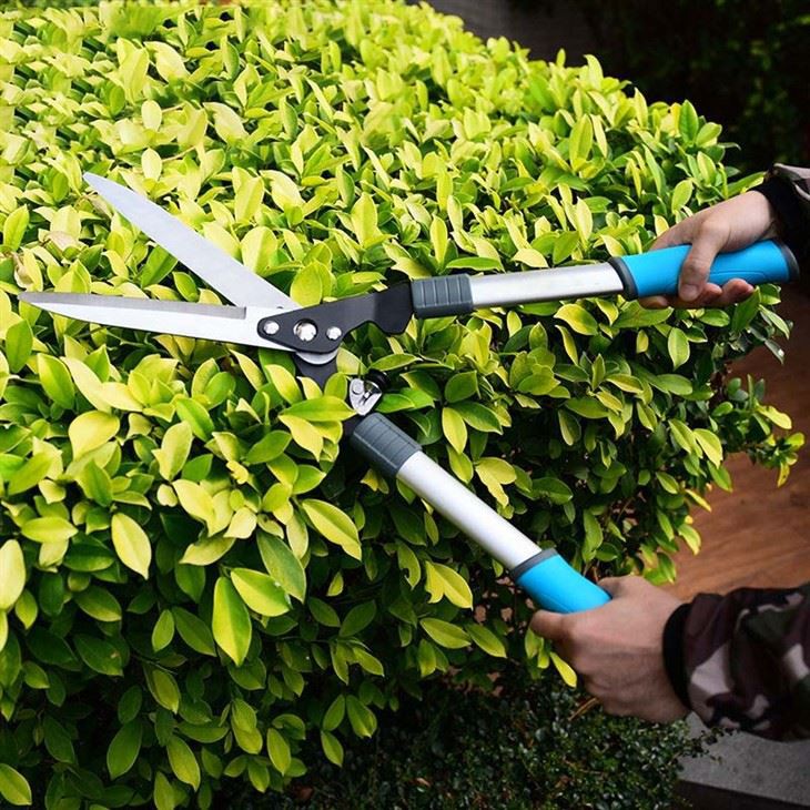 Stainless steel hedge shears