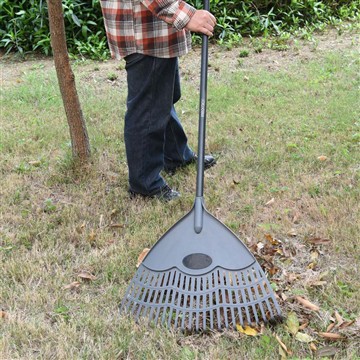 Kaip mes rūpinamės Vinca žiemos sezonu?