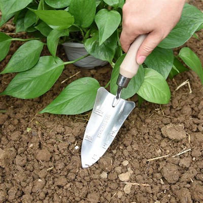 Sodo sodinimo dienoraštis -1