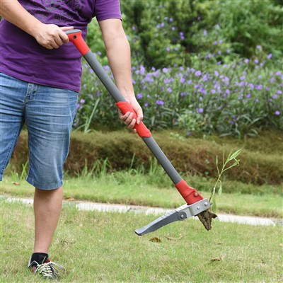 Atsistokite piktžolių, kad be vargo piktžolės