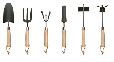 Pomidorų sodinimas namuose