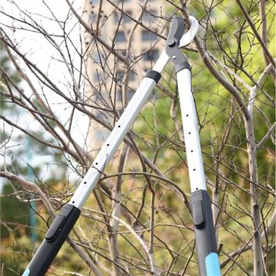 Sodininkystė užimtiems asmenims: patarimai, kaip prižiūrėti sodą ribotą laiką