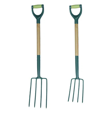 Raganosys išlaisvina sodininkystės meistriškumą: atskleisk paslaptį už nepapr...