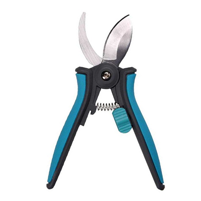 Kambarinių augalų genėjimas