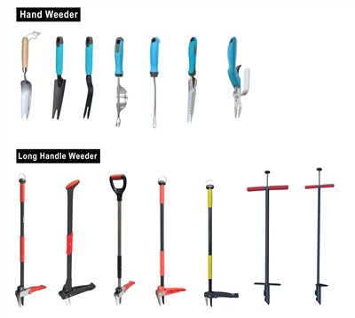 Žalios auginimas: tvarumas savo sode