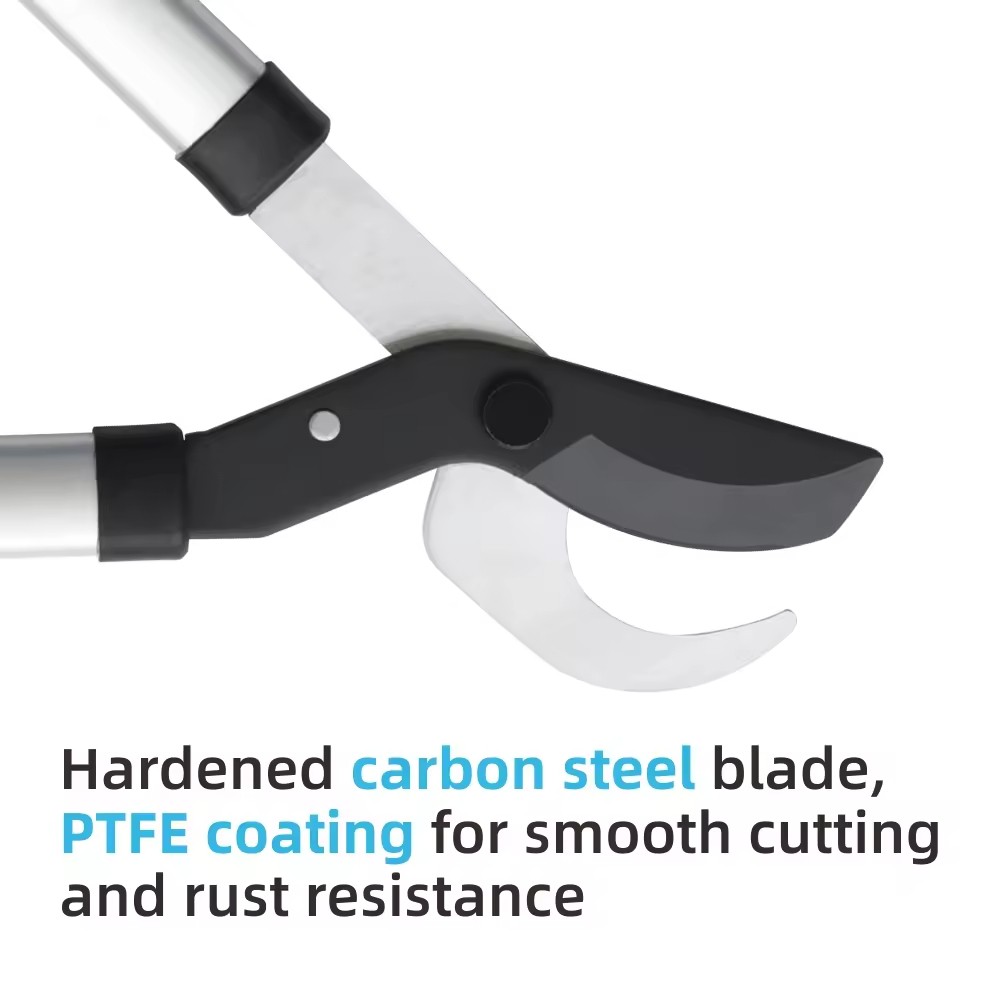 product-1000-1000 product-1000-1000