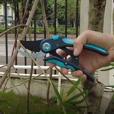 pruner application-plant pruner application-plant